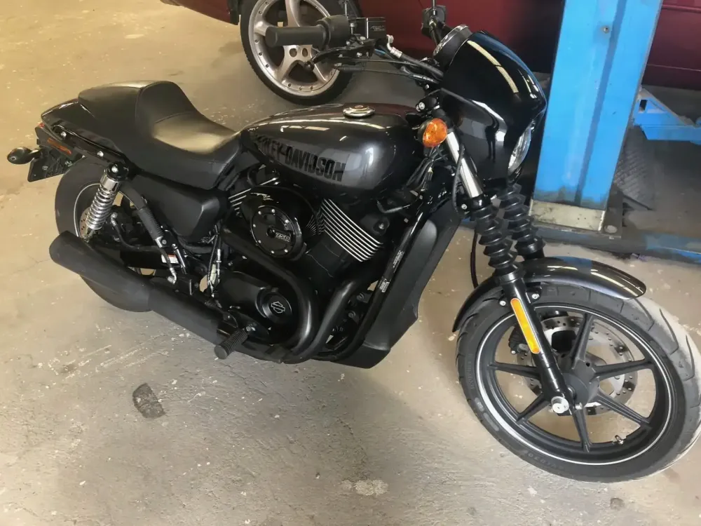 Harley – Décos diverses et lettrages 4