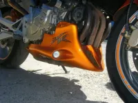 600 Hornet Orange (1)