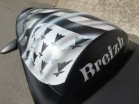 Buell « Bretagne » – Peinture aérographie, vernis mat (Nantes 44) (8)