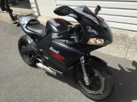 Buell « Bretagne » – Peinture aérographie, vernis mat (Nantes 44) (14)