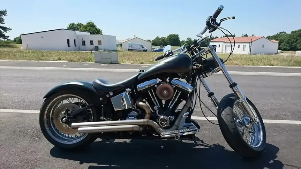 Harley – Flammes poudre caméléon, mat & brillant (5)