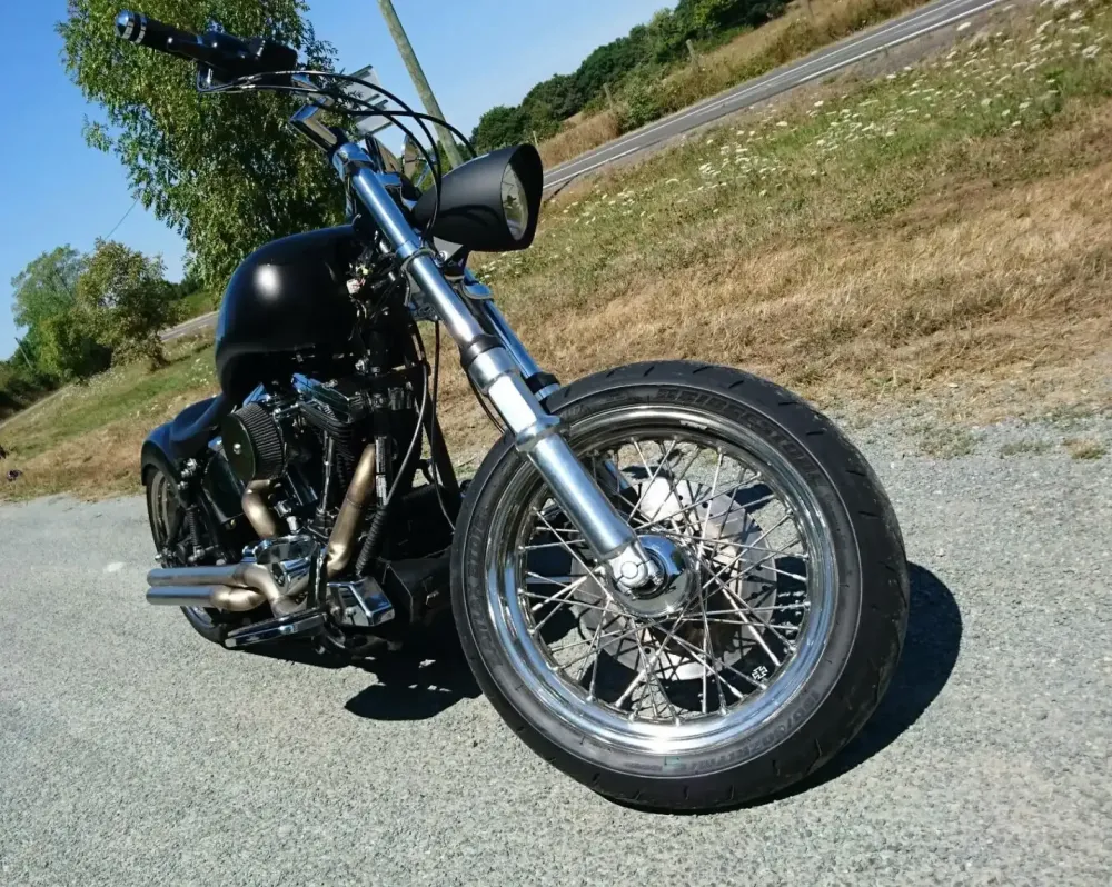 Harley – Flammes poudre caméléon, mat & brillant (6)