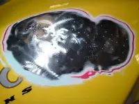 Réparation reservoir et peinture (11)