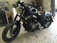 Harley – Skull white & black mat (Nantes 44) (1)