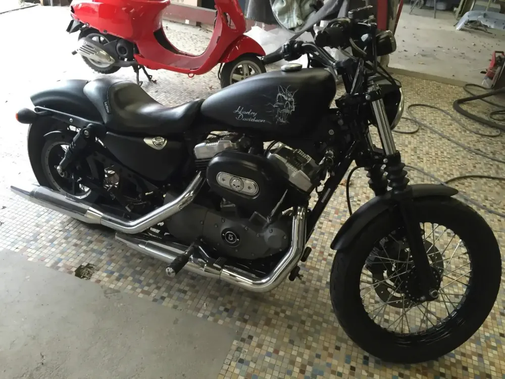 Harley – Skull white & black mat (Nantes 44) (7)