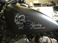 Harley – Skull white & black mat (Nantes 44) (12)