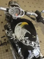 Harley V-Rod Muscle – Aérographie aigle & chaînes (14)