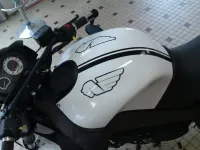 Buell peinture moto déco (3)