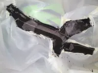 ZX7R châssis carbone fibre (8)