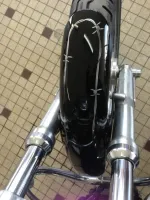 Harley Davidson 1200 Sport Low – Aérographie personnalisée (Nantes 44) (2)