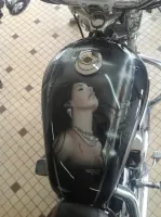 Harley Davidson 1200 Sport Low – Aérographie personnalisée (Nantes 44) (15)