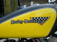 Harley Davidson noir mat & jaune nacré brillant (5)