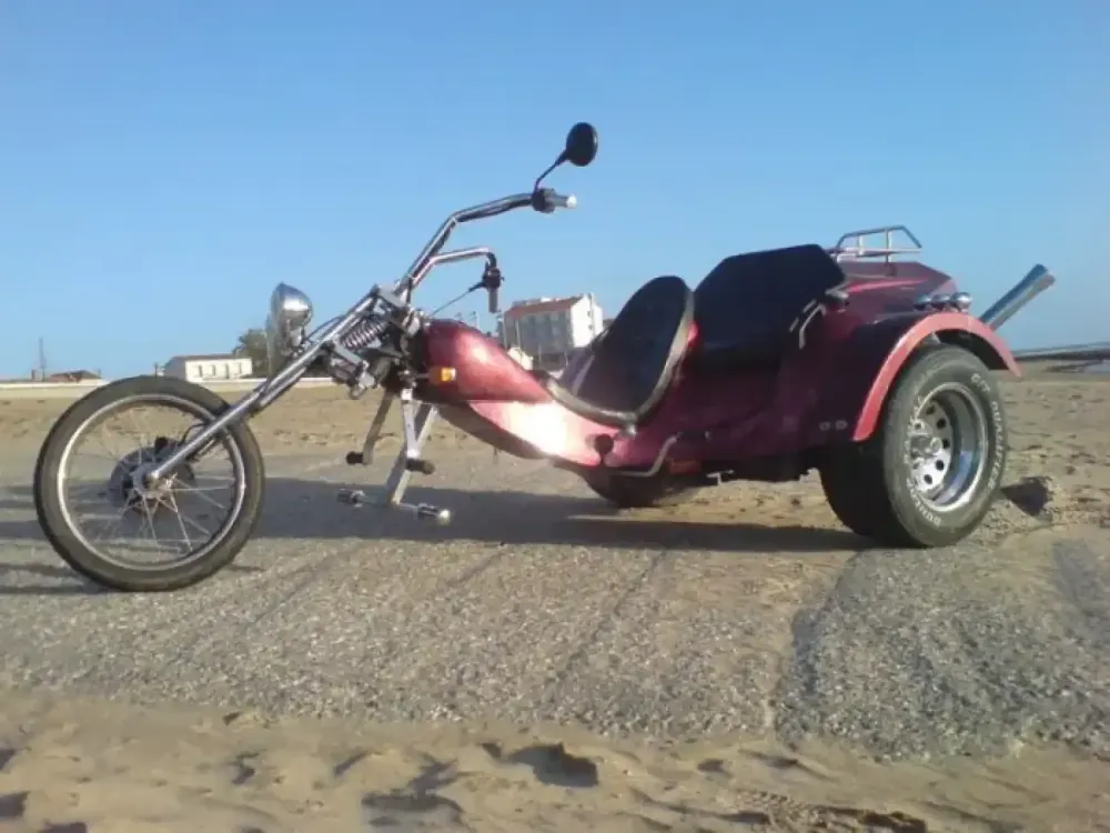 Décoration et modification des formes d'un Trike (22)