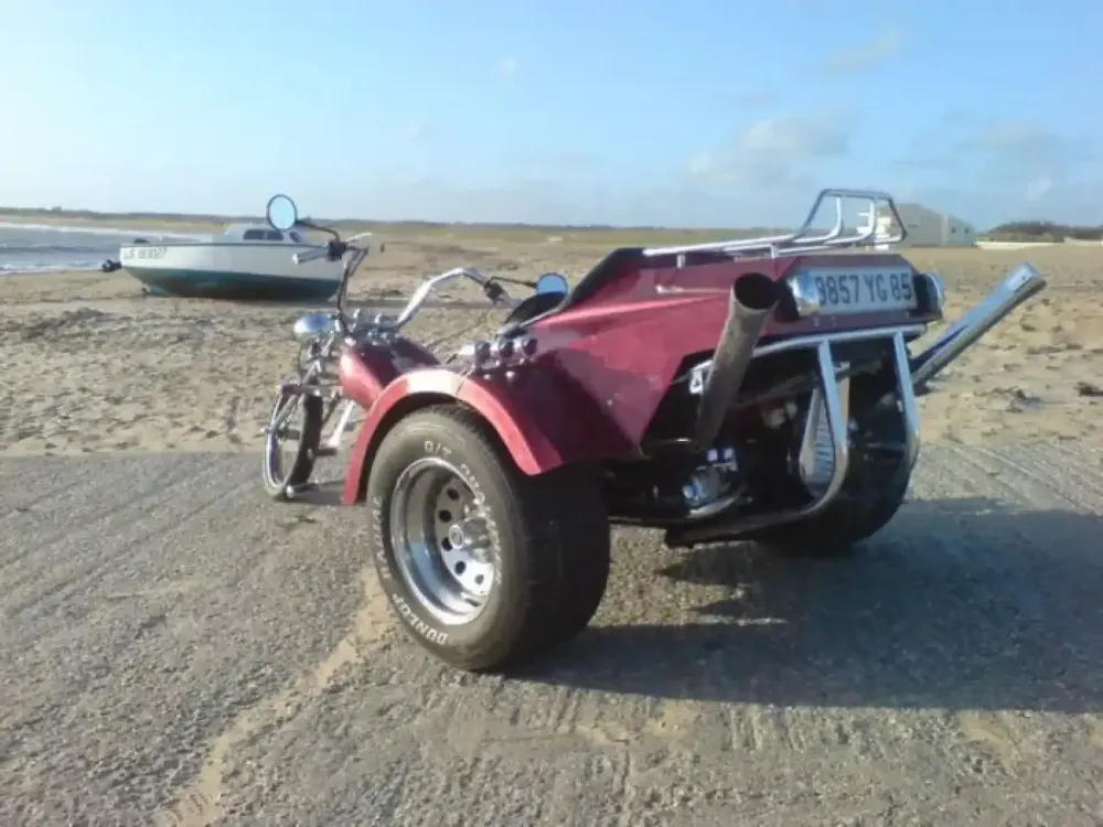 Décoration et modification des formes d'un Trike (17)