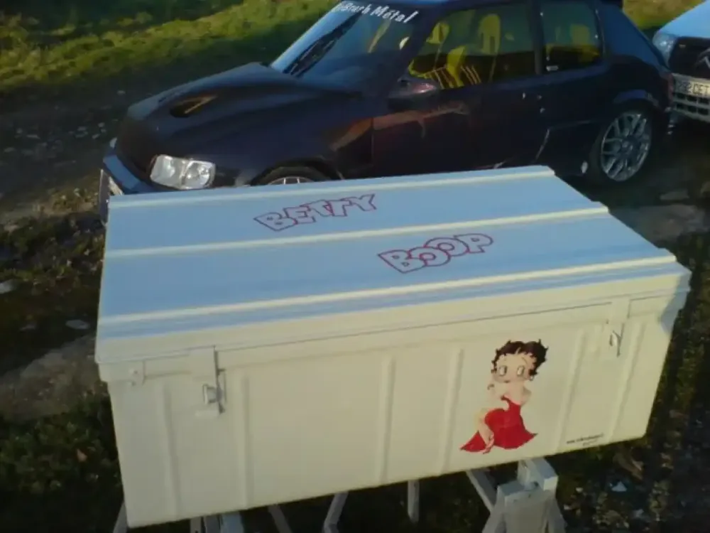 Caisse métal Betty Boop (1)