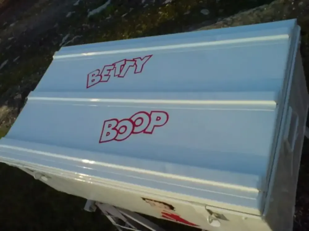 Caisse métal Betty Boop (2)