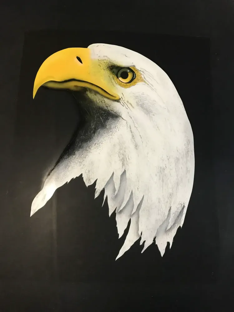 Mustang – Aérographie drapeau américain & aigle-11