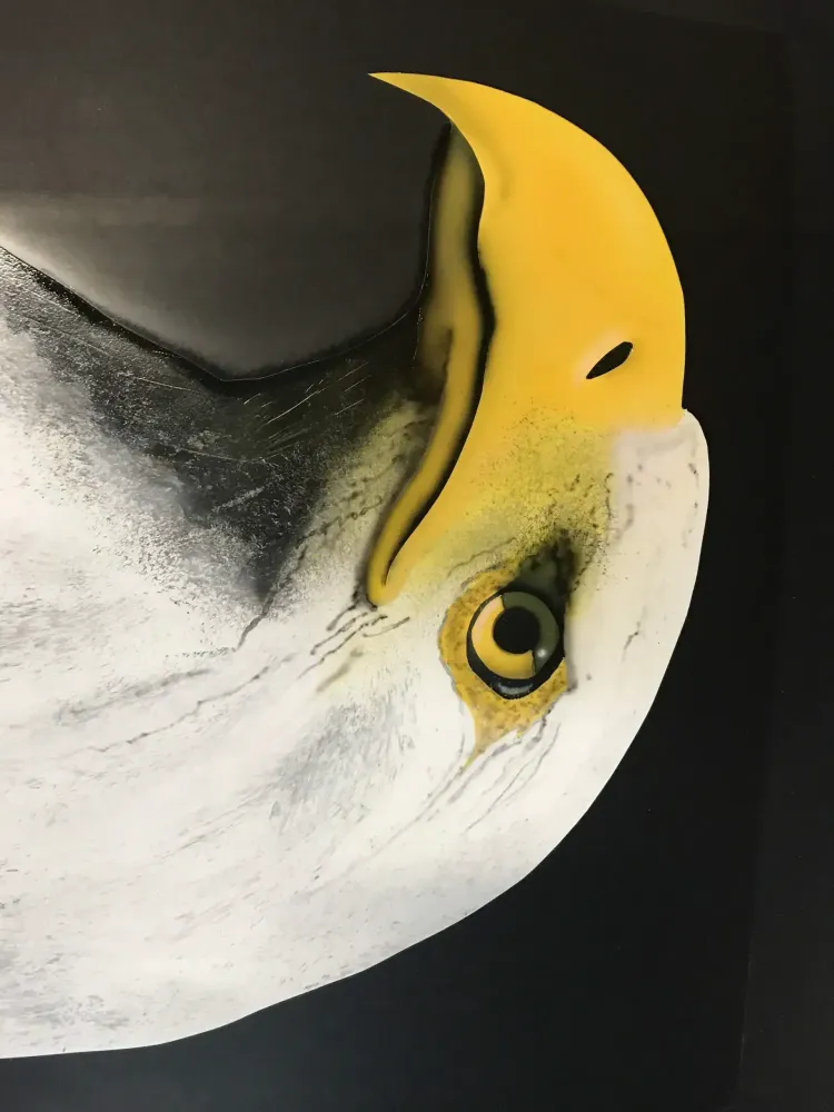 Mustang – Aérographie drapeau américain & aigle-14