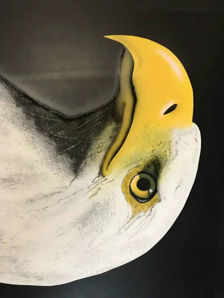 Mustang – Aérographie drapeau américain & aigle-15