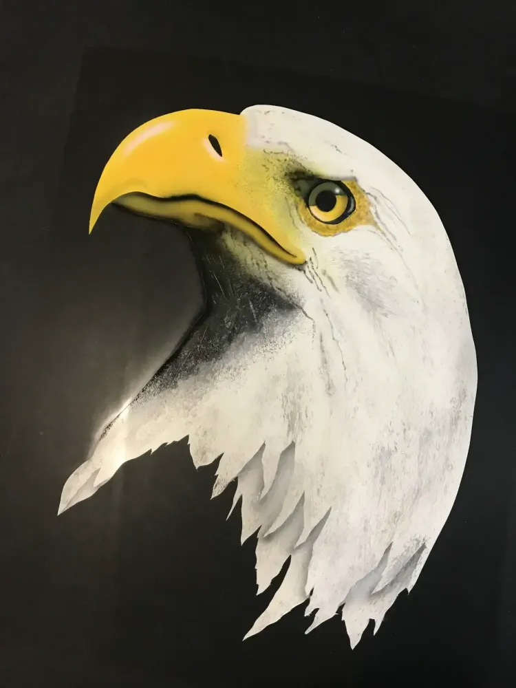 Mustang – Aérographie drapeau américain & aigle-16