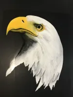 Mustang – Aérographie drapeau américain & aigle-12