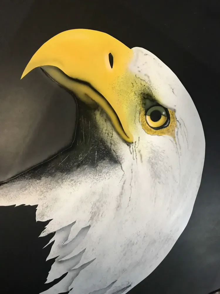 Mustang – Aérographie drapeau américain & aigle-13