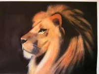 Réalisations diverses (9)