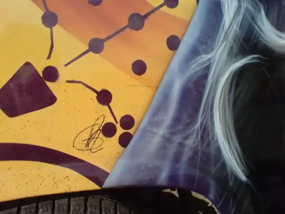 Décor 4L Trophy (12)