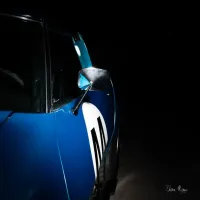 Corvette – Tableau Jessica Morgane, photographe (4)