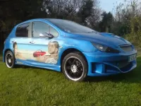 Peugeot 307 – Décor portraits à l’aérographe (3)