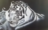 Peinture aérographe tigre (10)