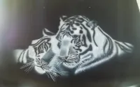Peinture aérographe tigre (11)