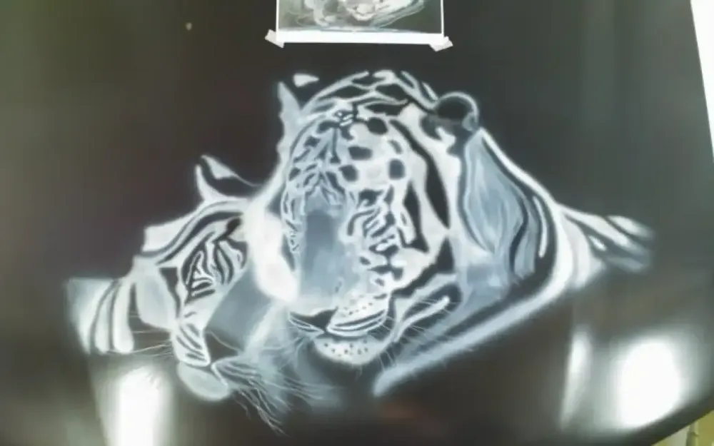 Peinture aérographe tigre (1)