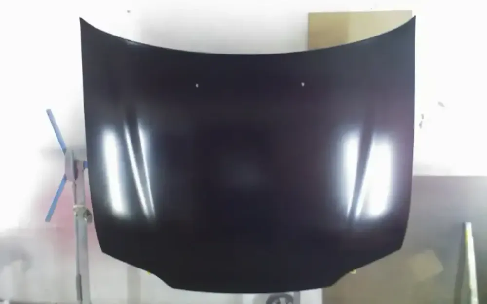 Peinture aérographe tigre (2)