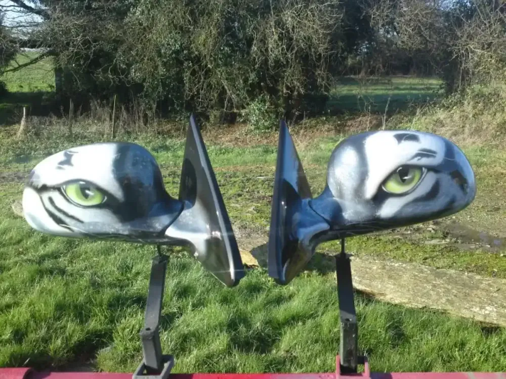 Peinture aérographe tigre (3)