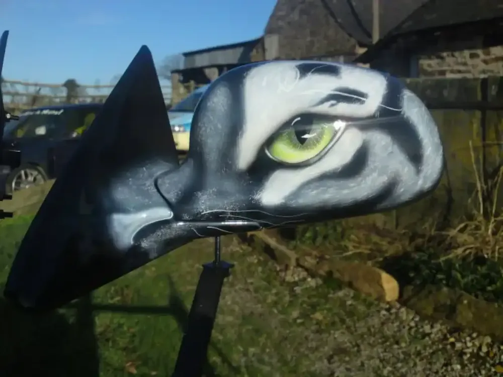 Peinture aérographe tigre (4)