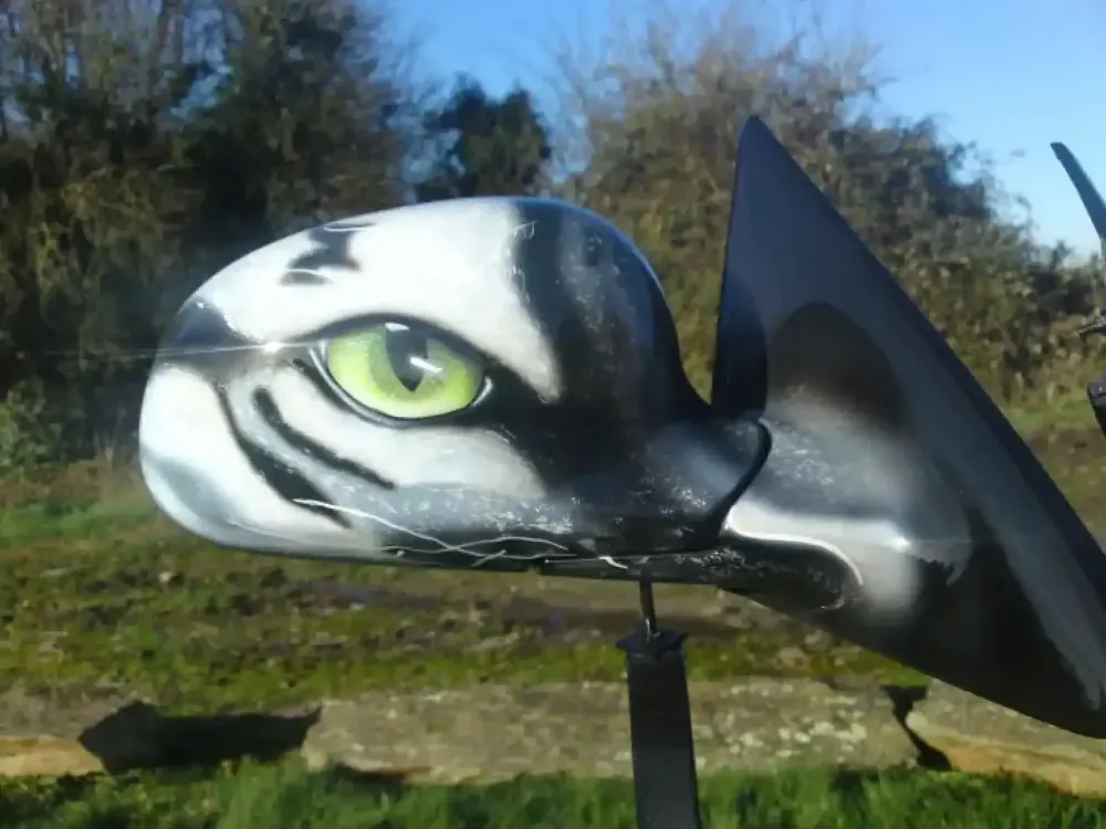 Peinture aérographe tigre (5)