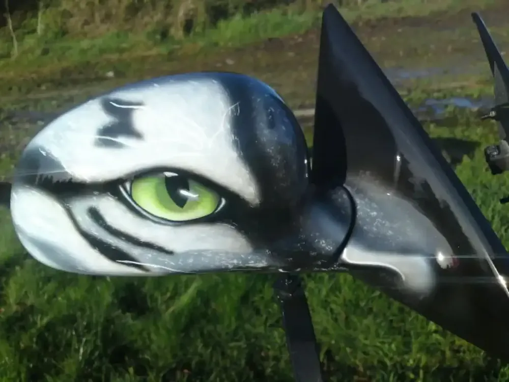 Peinture aérographe tigre (7)