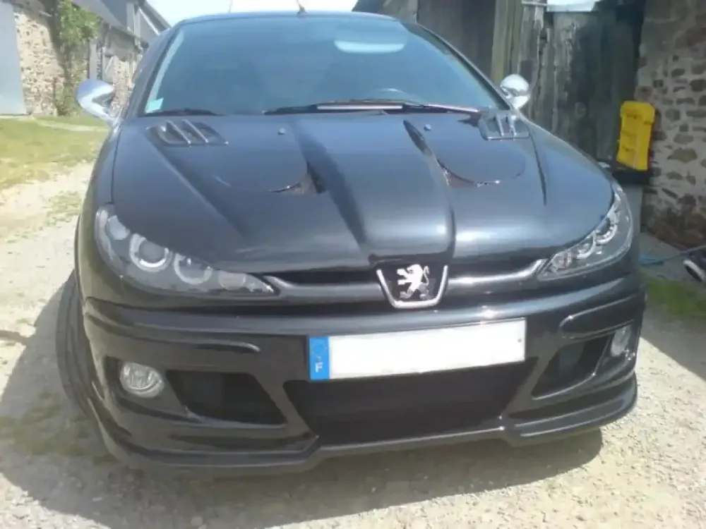 Peugeot 206 noire – Réparation & peinture (2)