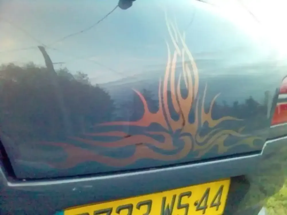 Peugeot 205 GTI 1.9 (4)