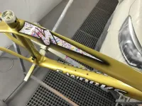 S-Works – Déco or (13)